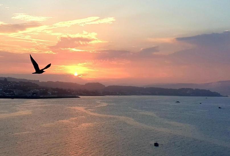 Piso Vacaciones En El Mar Apartment Sanxenxo Ngoại thất bức ảnh